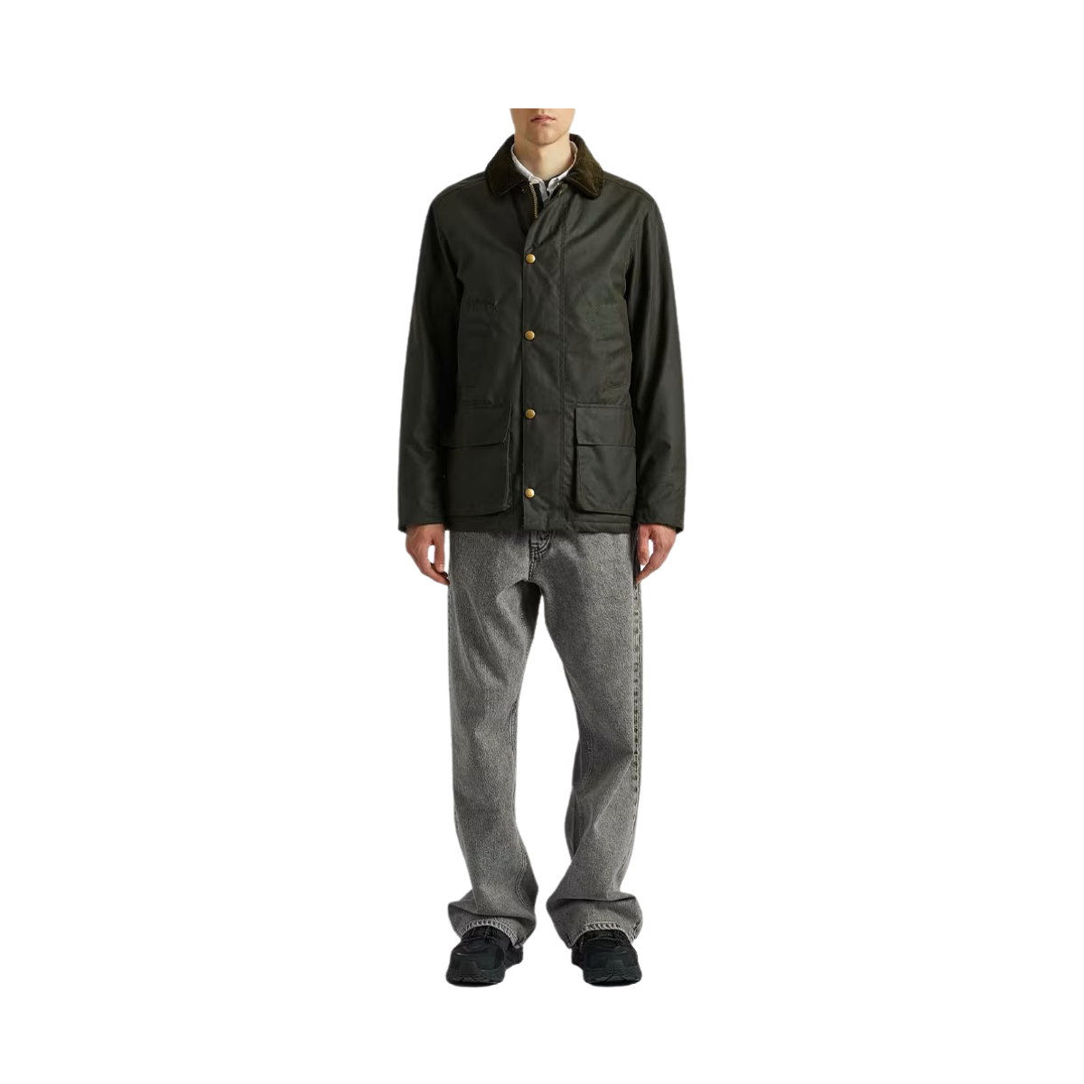 Curtis - Olive