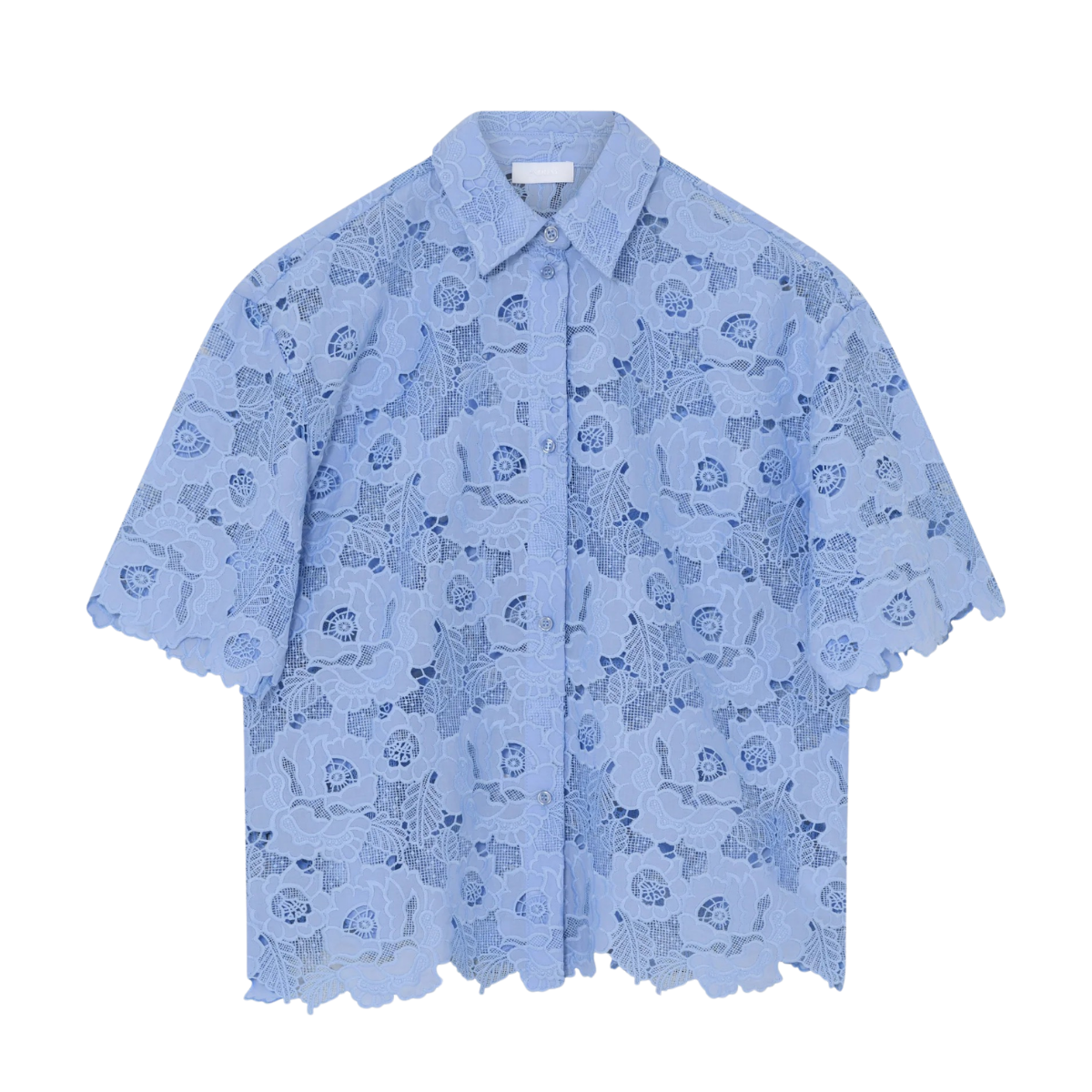 2ND Austinas - Cashmere Blue