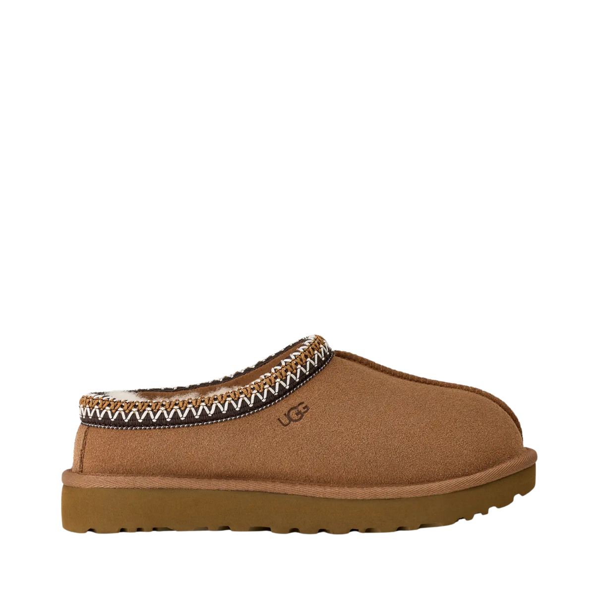 W Tasman II - CHE Chestnut