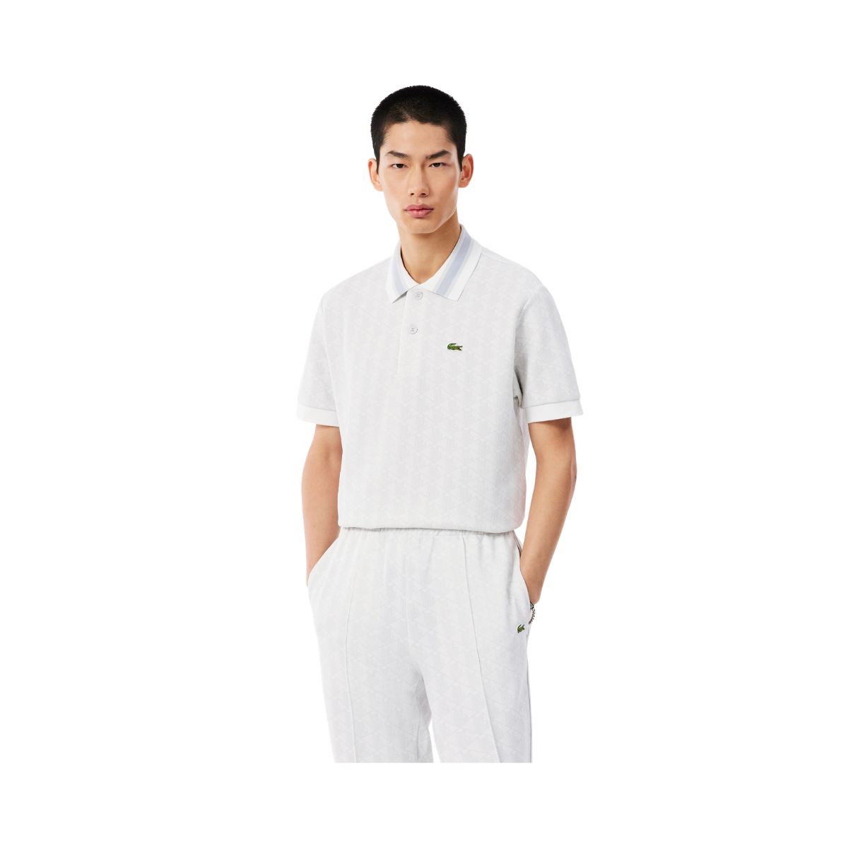 Polos Homme Knit - Patisson
