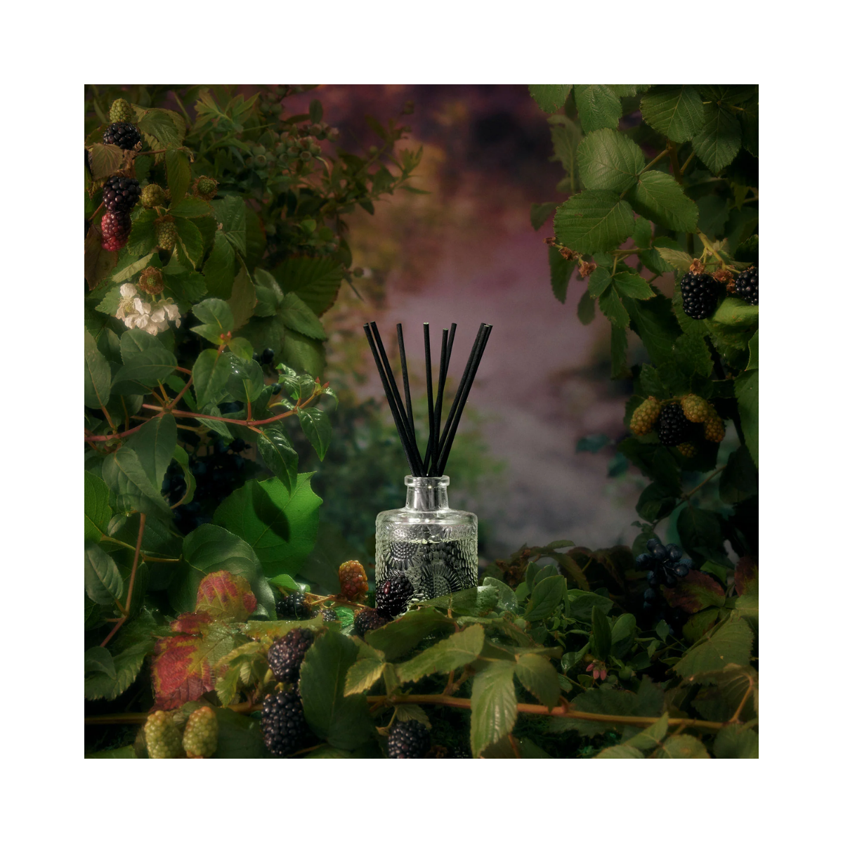 Reed Diffuser - 39 Foraged Wildberry