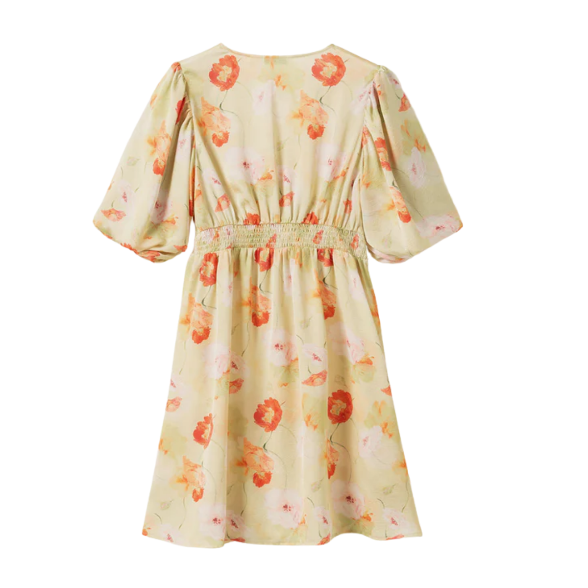 N-Lilliana Dress - Delina Green Print