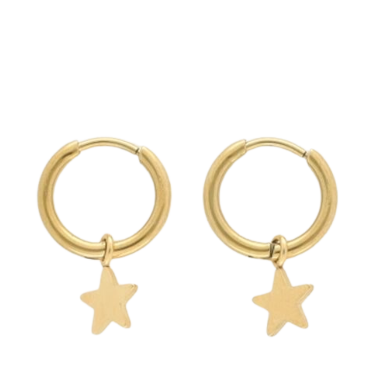 Earrings With Star - 1200 Gold
