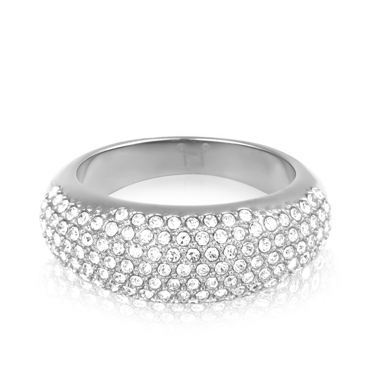 Treasure Silver Ring 54 - Silver
