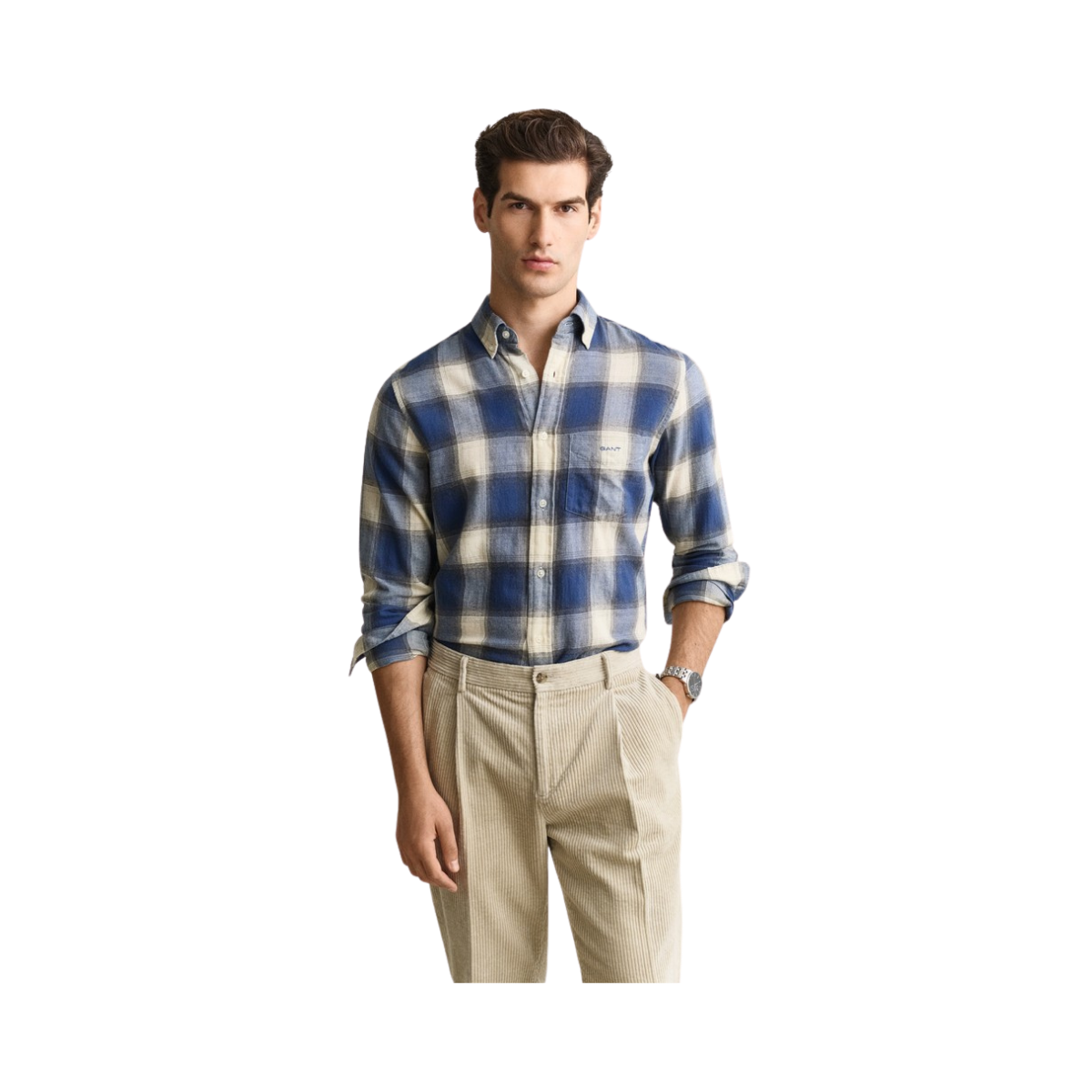 Reg Windblown Flannel Check Shirt - Blue Horizon