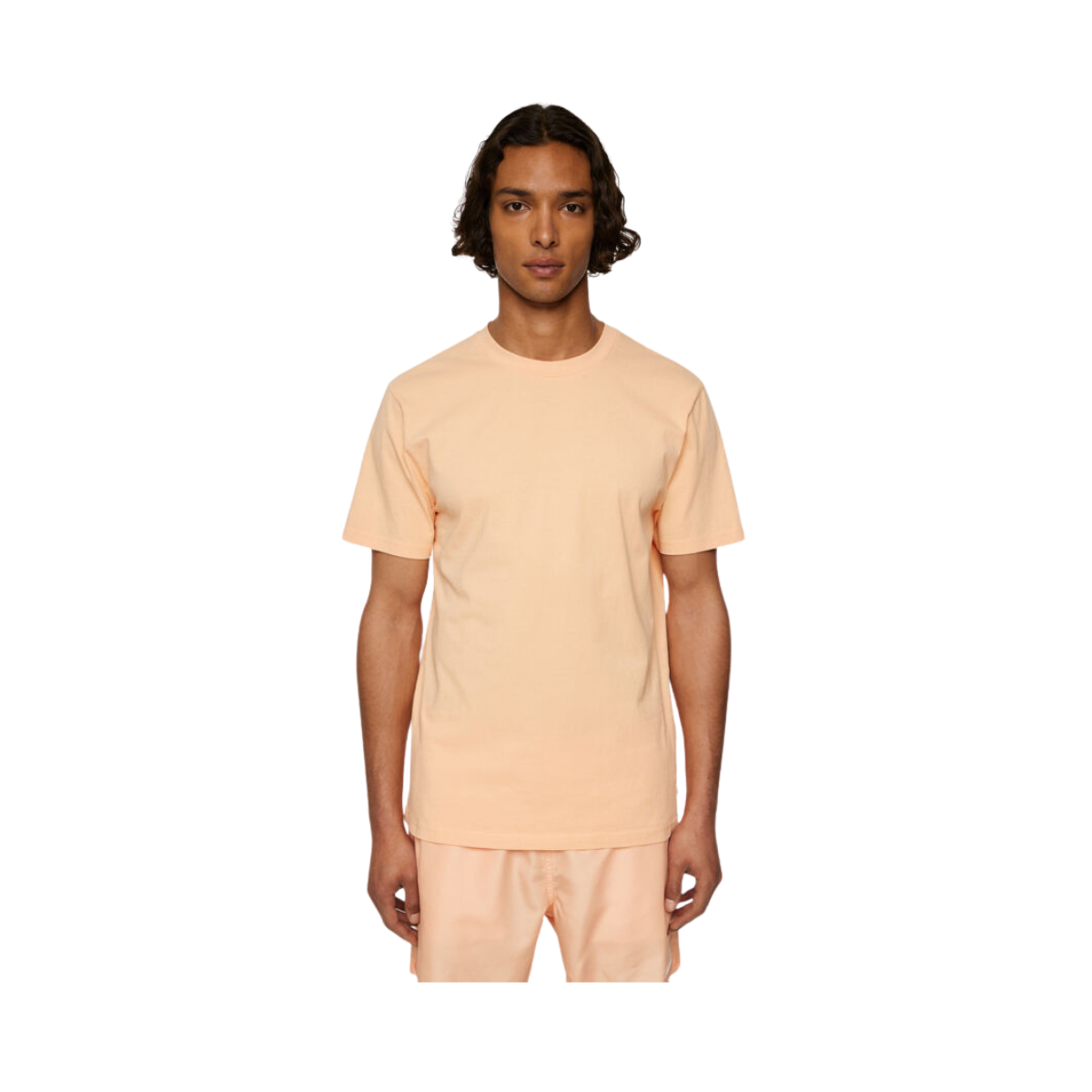 Sid Basic T-Shirt - Mock Orange