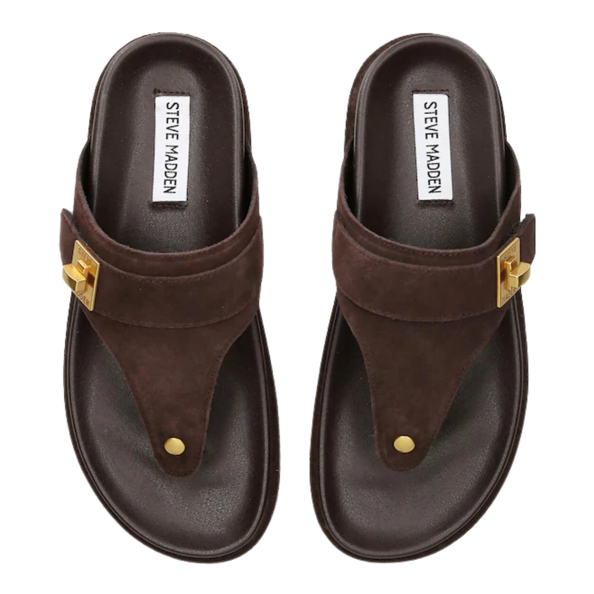 Tuned-IN - Chocolate Brown Suede