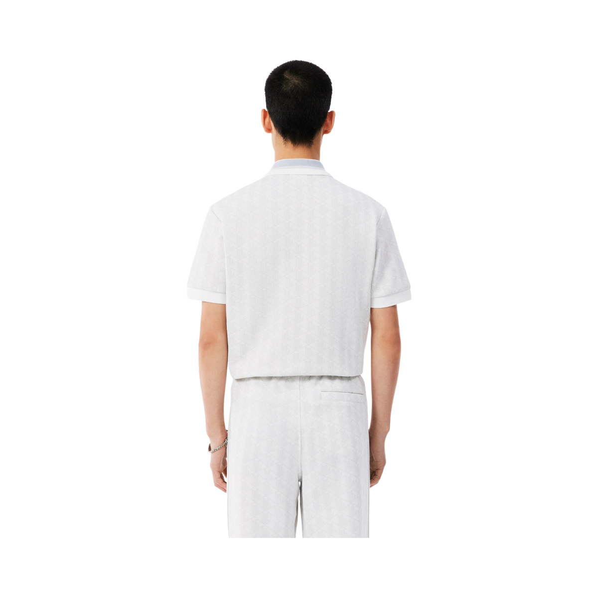 Polos Homme Knit - Patisson