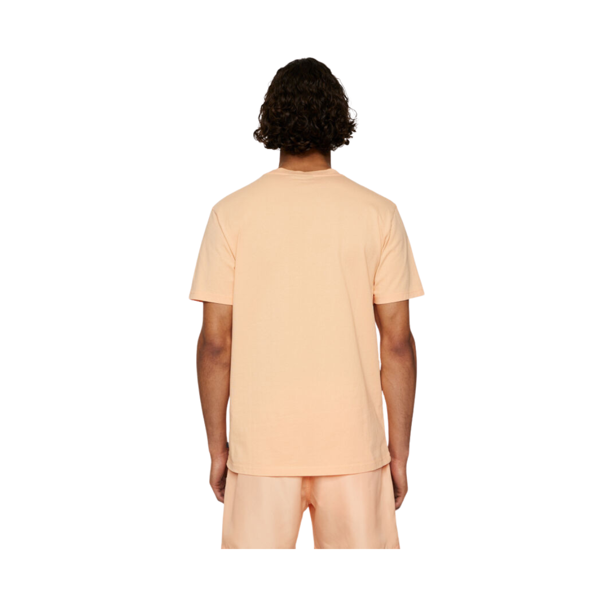Sid Basic T-Shirt - Mock Orange