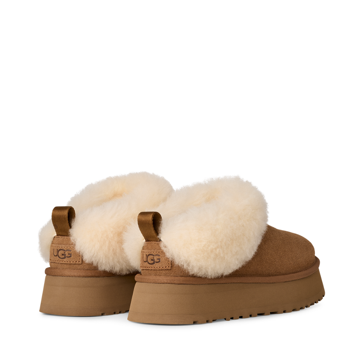 W Tazzelle - CHE Chestnut