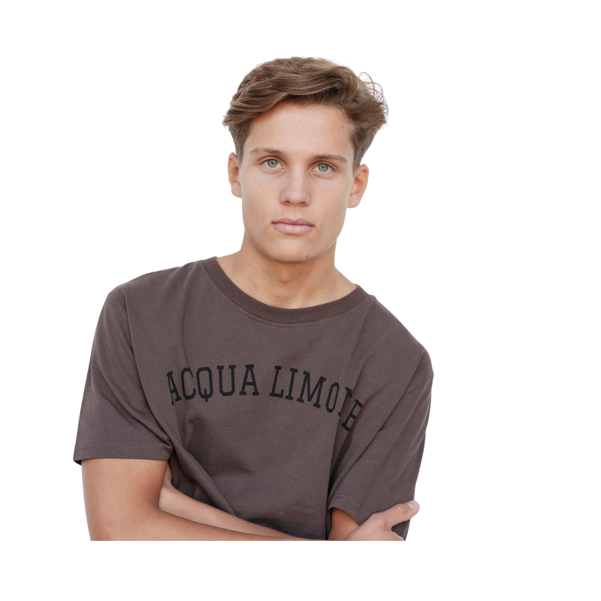 Heavy Ivy Tee - Nut