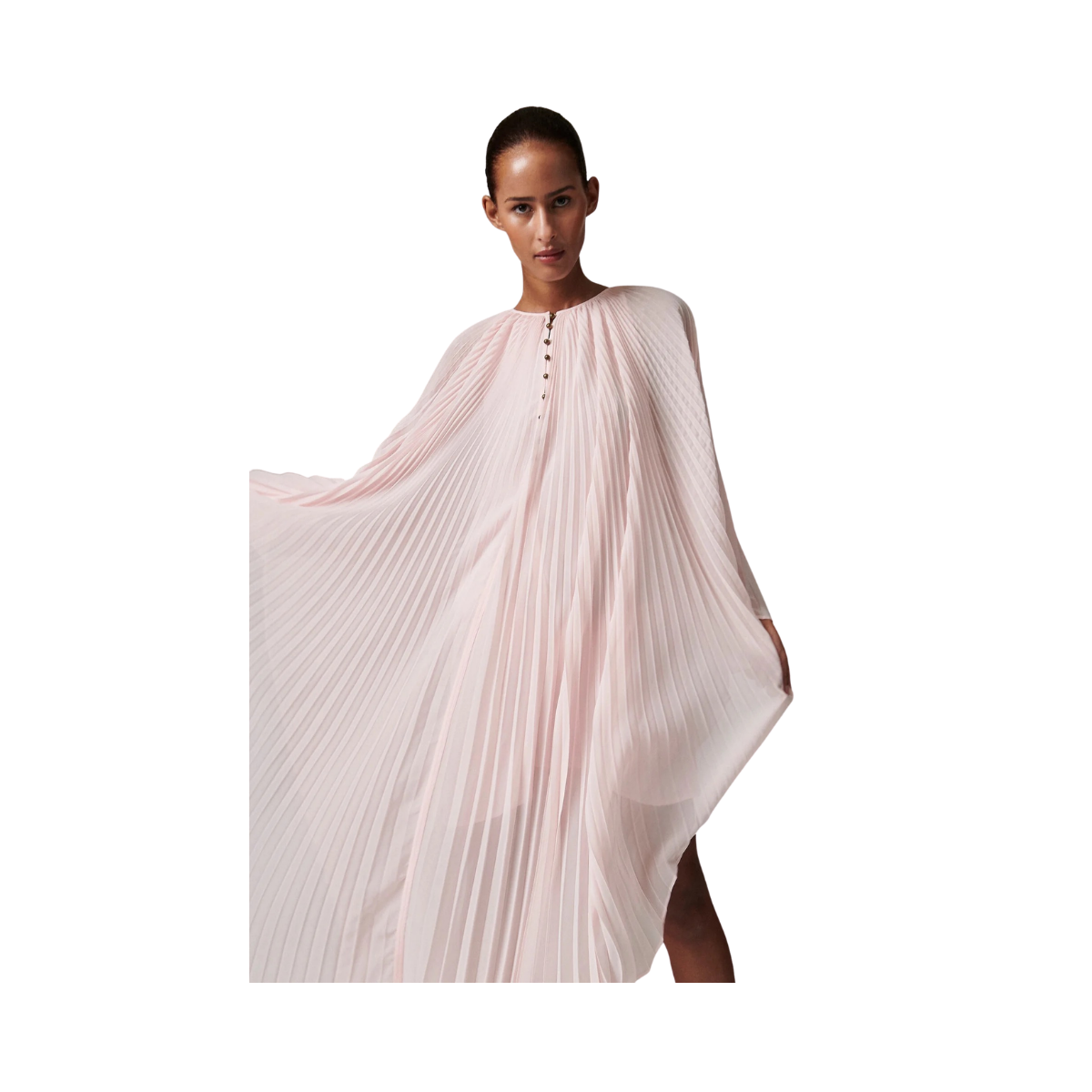 Arin - Shrinking Violet