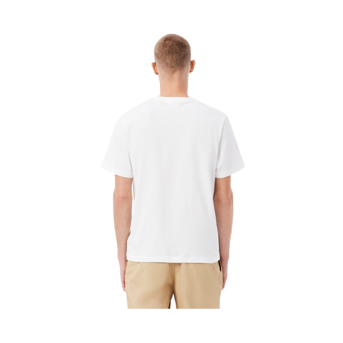 Crewneck T-Shirts - White