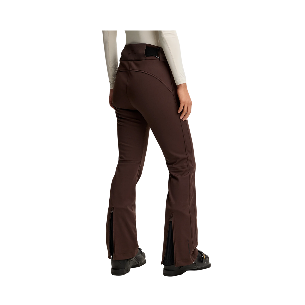Stanford Softshell Ski Pant - SEAL BROWN