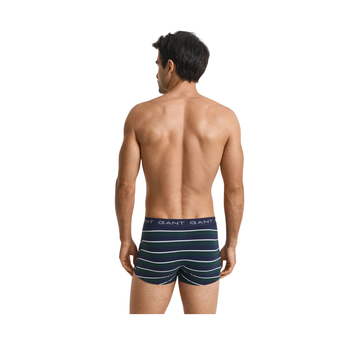 Striped Trunk 3-Pack - 338 Forest Green