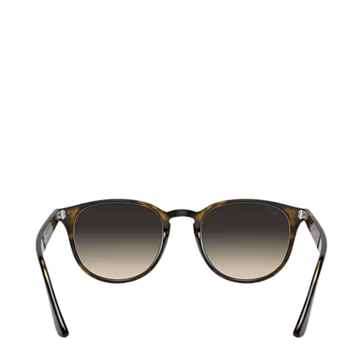 Ray-Ban Sunglasses - 710/11 Light Havana
