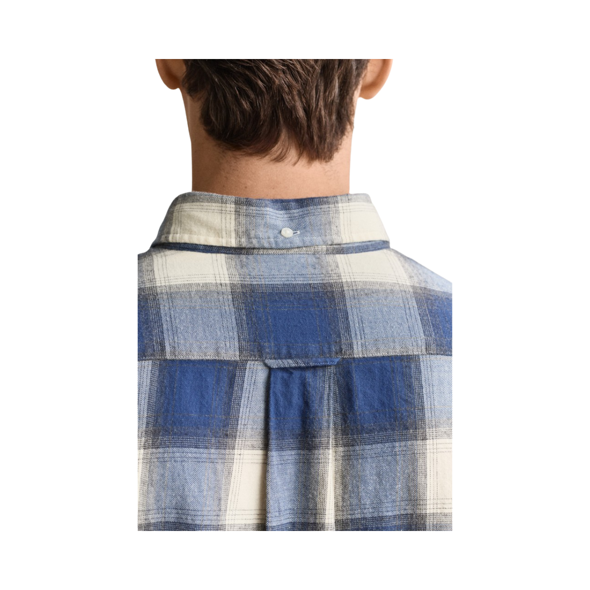 Reg Windblown Flannel Check Shirt - Blue Horizon