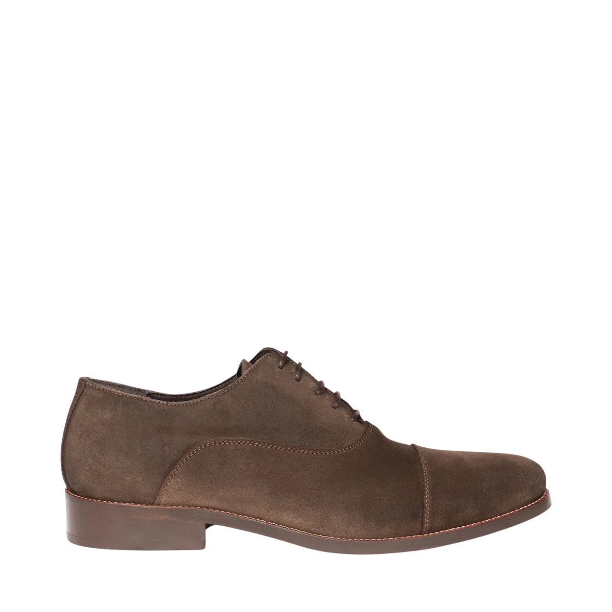 Bruno Suede PR - Monochrome Brown