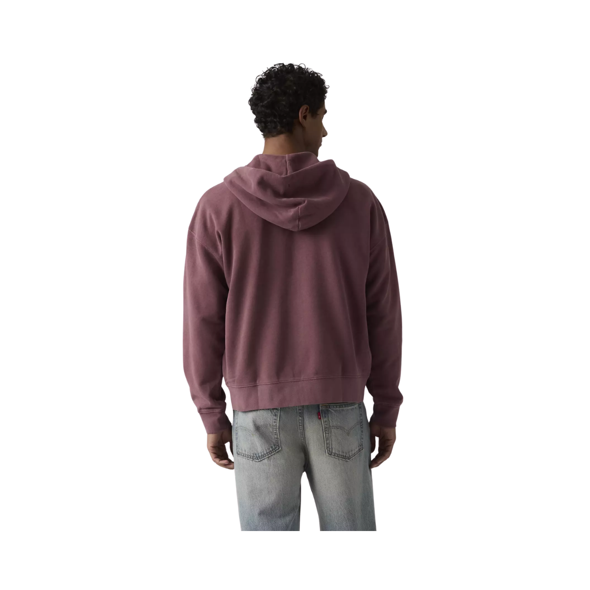 Hayes Boxy Full Zip Sweater - Post-grunge Roan Rouge