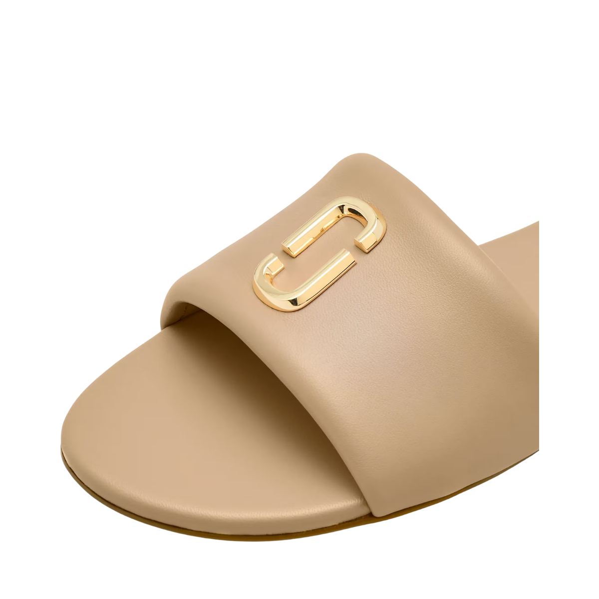 The Snapshot Slide - Camel