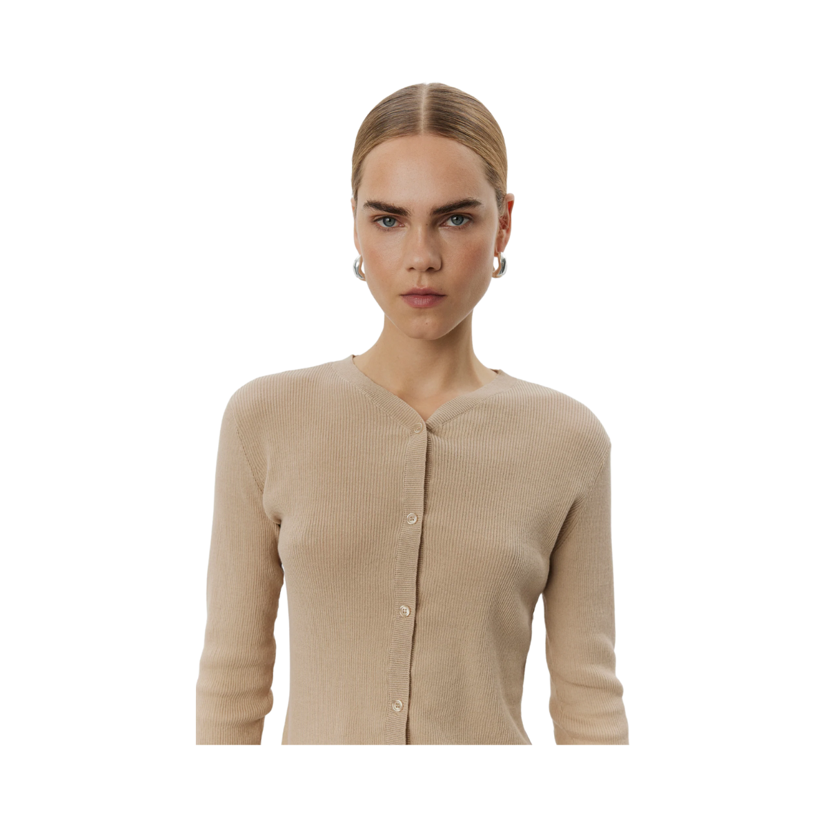 Briggs - 151304 Humus