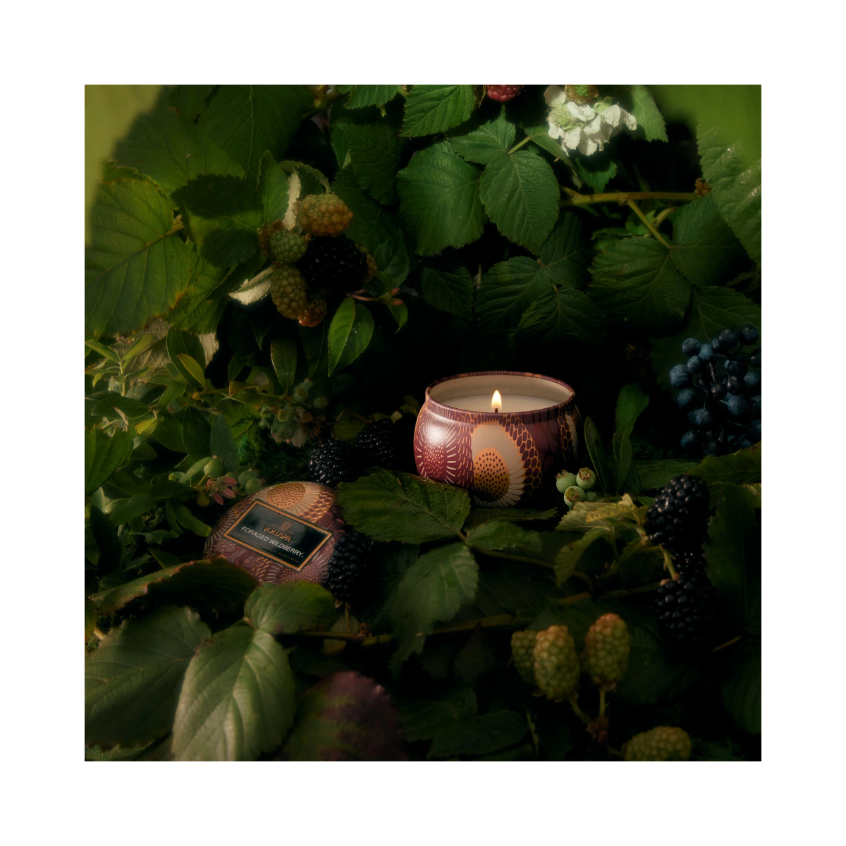 Mini Tin Candle - Foraged Wildberry
