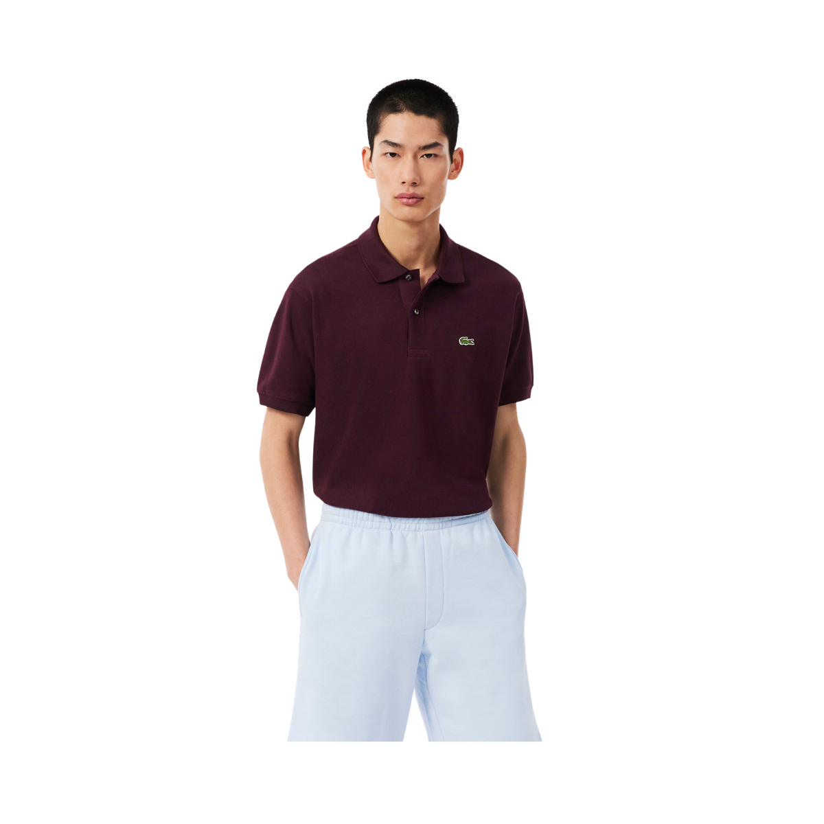 Short Sleeved Ribbed Coll - Chestnut brown