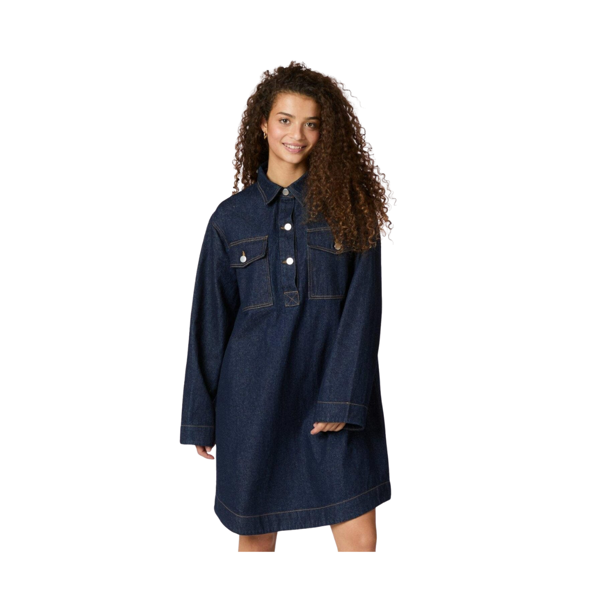 Paras Denim Dress - Dark Blue