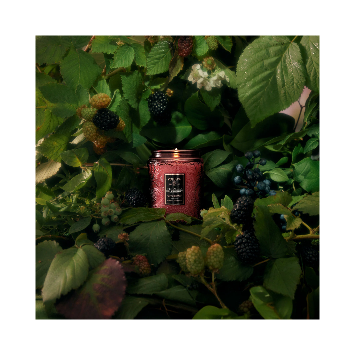 Small Jar Candle - Foraged Wildberry
