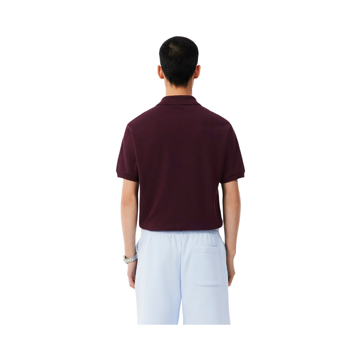 Short Sleeved Ribbed Coll - Chestnut brown