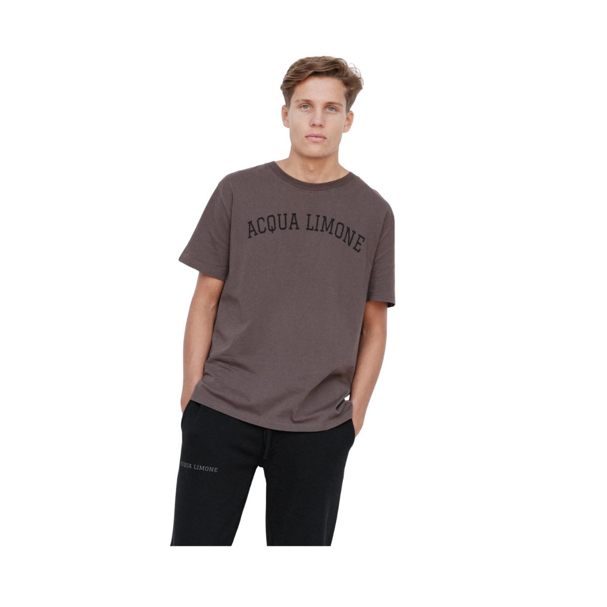 Heavy Ivy Tee - Nut