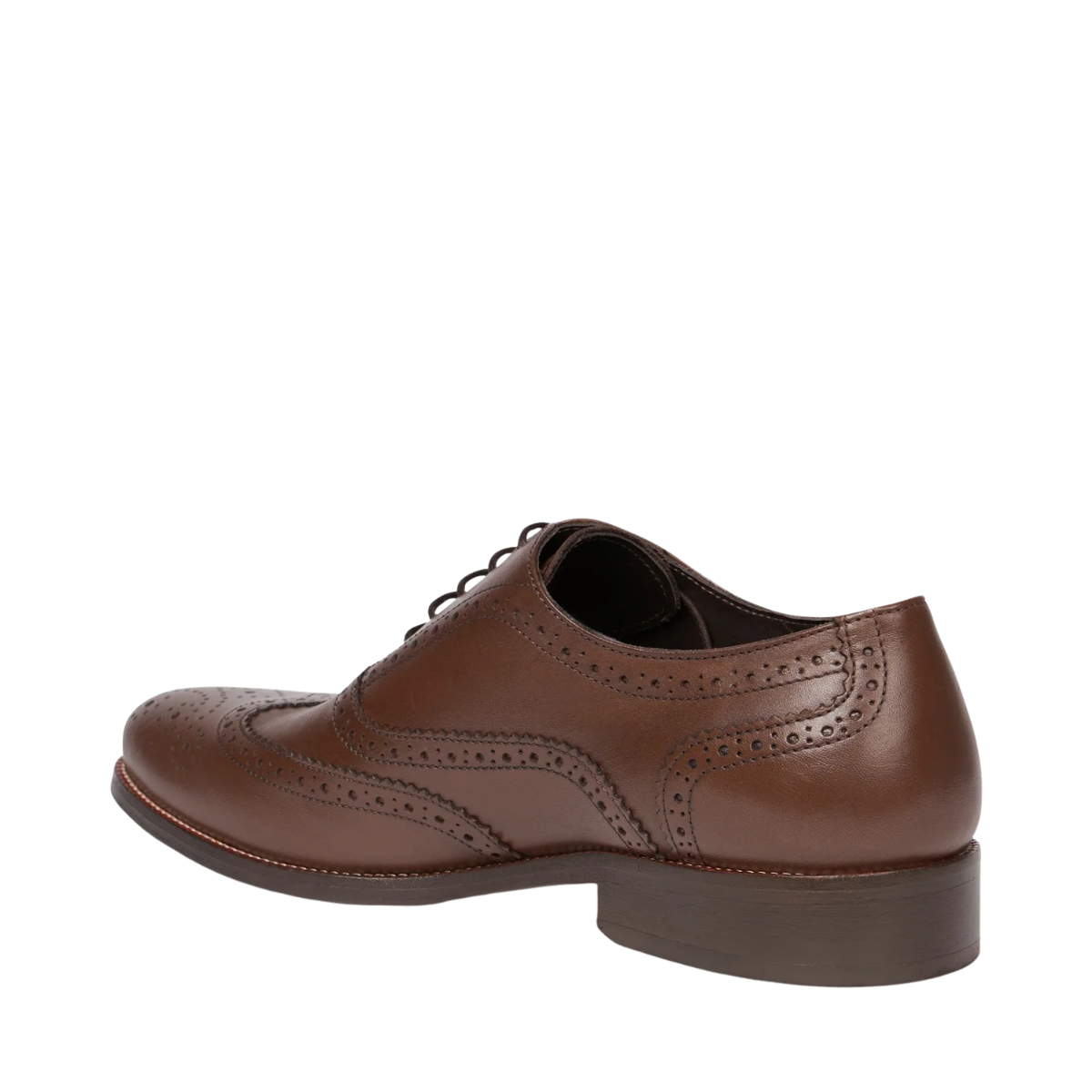 Gustav PR - Brown Monochrome