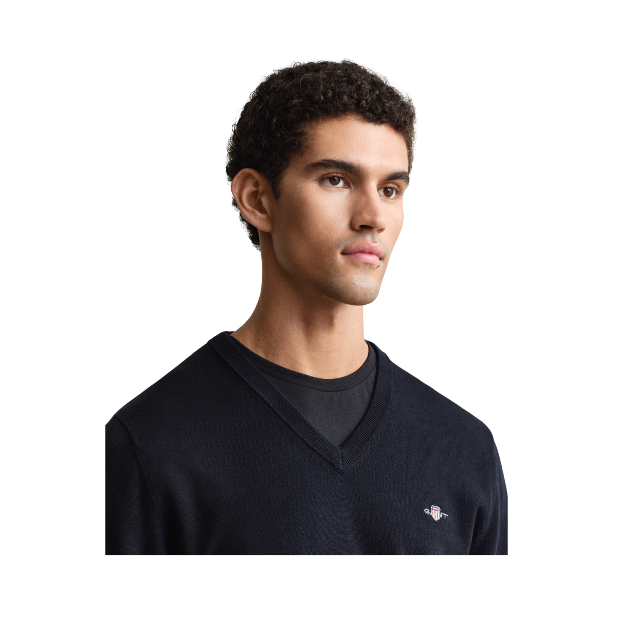 Classic Cotton V-Neck - Evening Blue