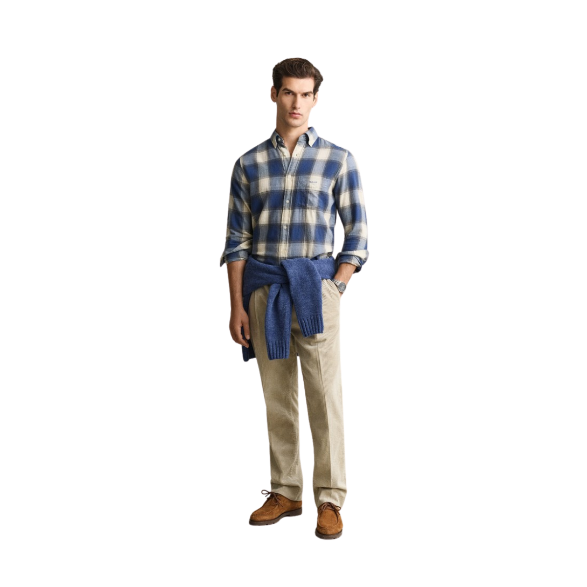 Reg Windblown Flannel Check Shirt - Blue Horizon