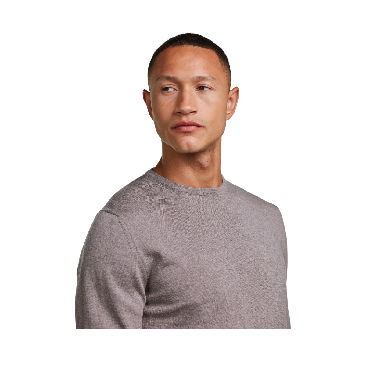 Merino Extrafine Crew Neck - Light Brown