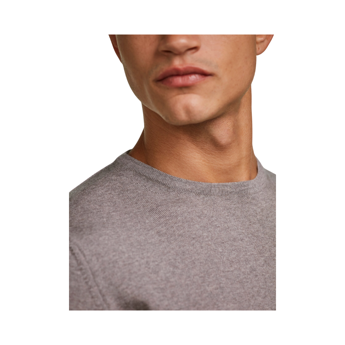 Merino Extrafine Crew Neck - Light Brown