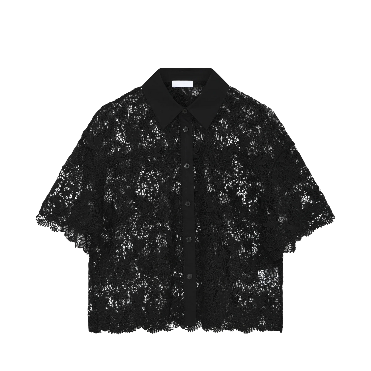 2ND Tabbi - 190303 Black