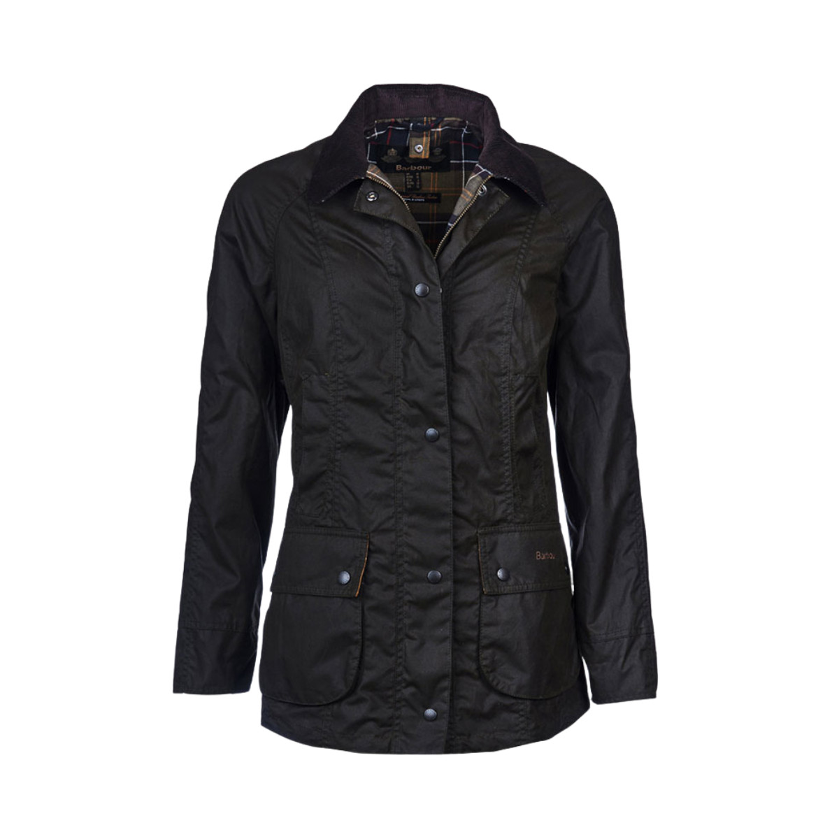 Classic Beadnell - Green