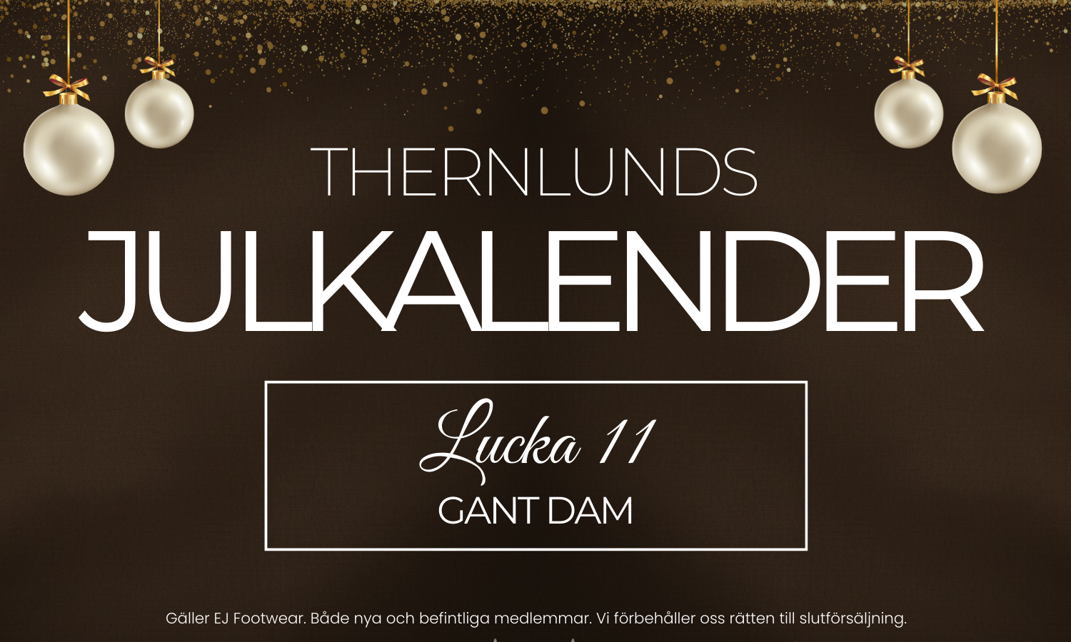 Julkalender 2025 - Lucka 11