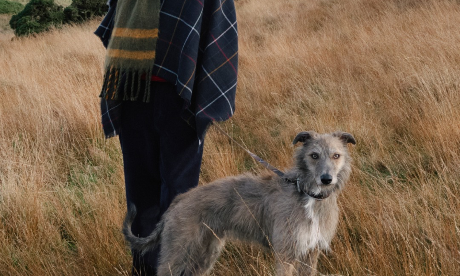 Barbour - Hundkollektion