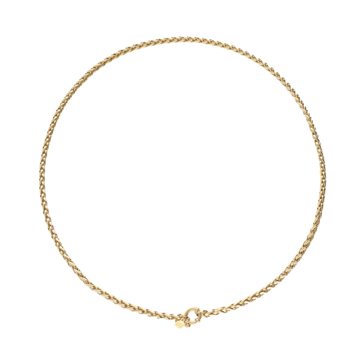 Basic Chain Necklace with Clasp - Gold