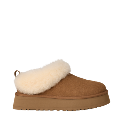 W Tazzelle - CHE Chestnut