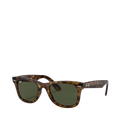 Wayfarer - Light Havana
