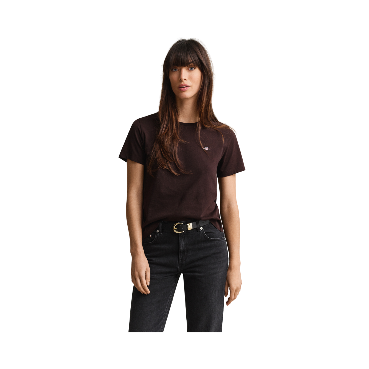 Reg Shield SS T-Shirt - Deep Brown