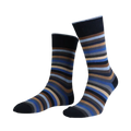True Block Stripe Ankle Sock - Navy