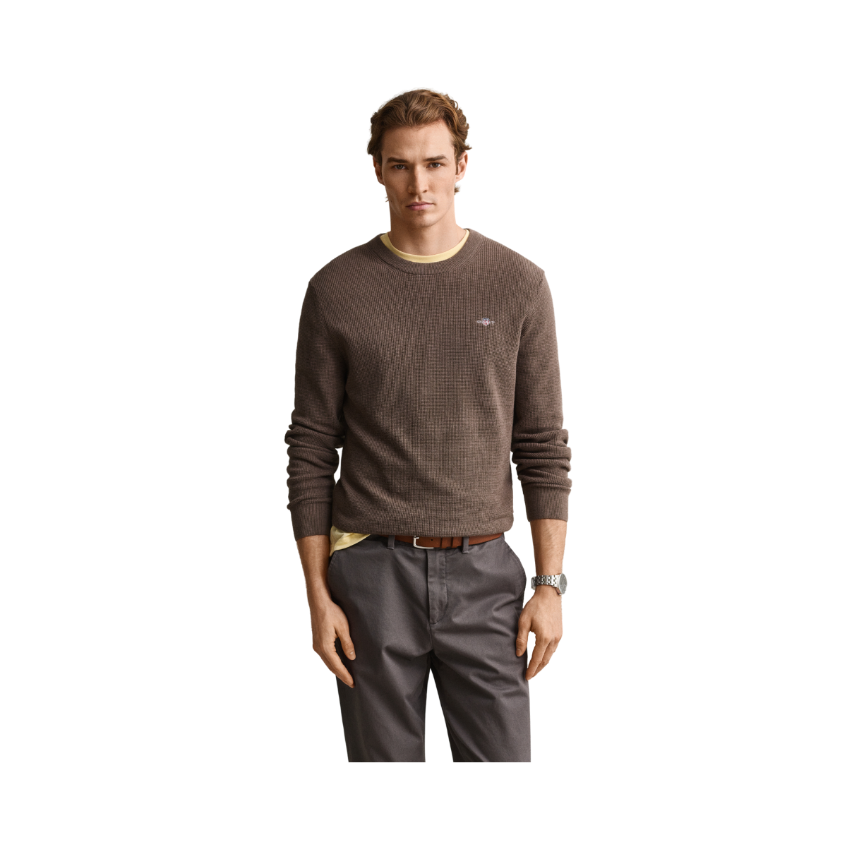 Micro Textured Cotton C-Neck - Dark Hazelnut Melange