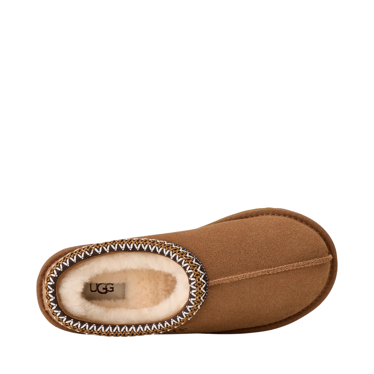 W Tasman II - CHE Chestnut