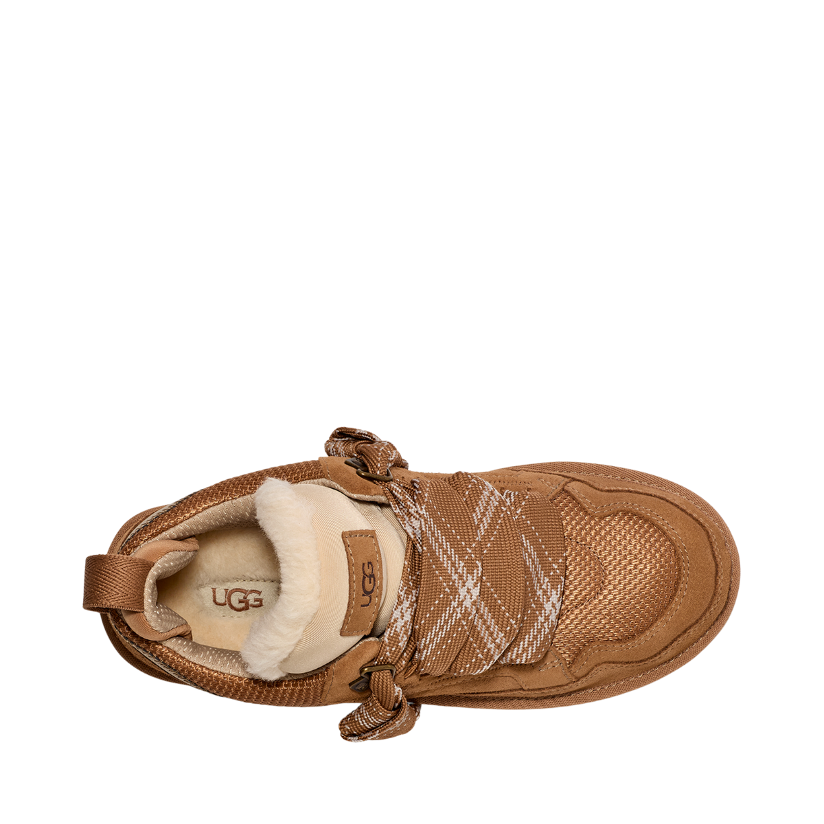 W Lowmel - CHE Chestnut