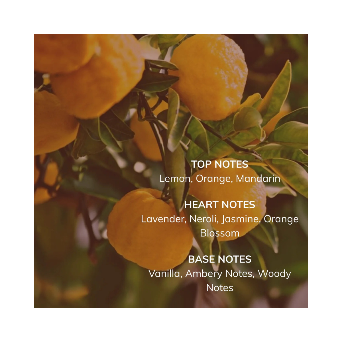 Eau de Parfum 50ml - Early June