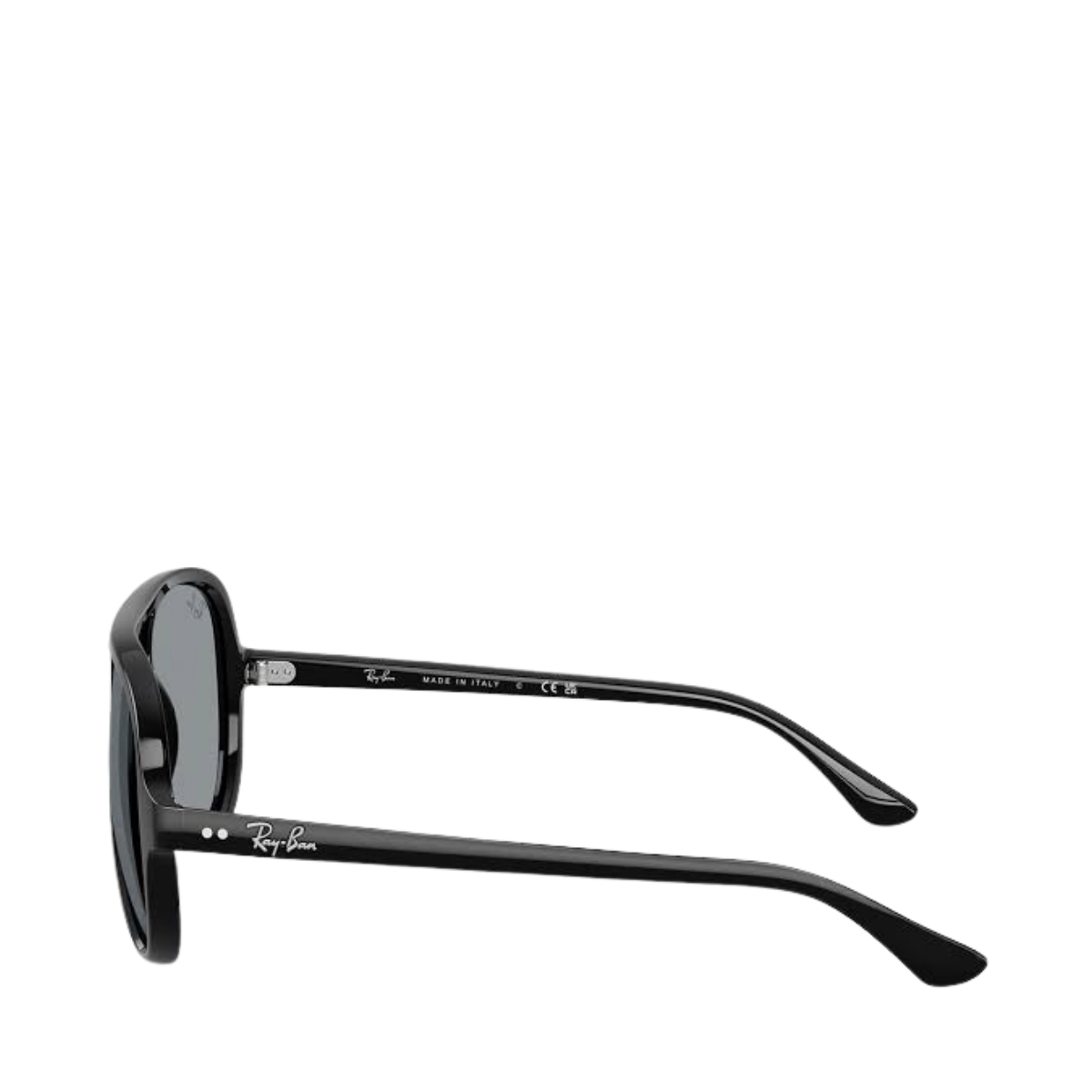 INJECTED MAN SUNGLASS - 601/R5